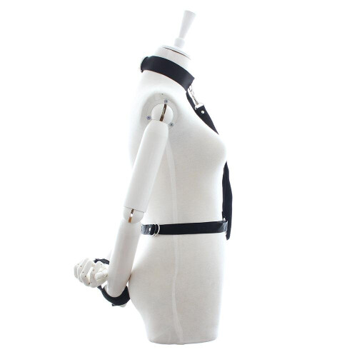 Nylon Collar and Waist Strap with Lead