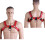The Bulldog Chest Harness 1