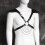 Sexy Fetish Chest Harness 1