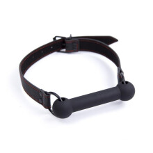 BDSM/Fetish Collar and Bit