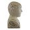 Large Ceramic Crackle Phrenology Head 5