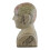 Large Ceramic Crackle Phrenology Head 3