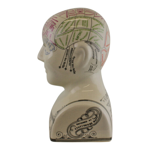 Large Ceramic Crackle Phrenology Head 2