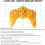 Digger Excavator Construction Vehicle Toy With Remote Control For Kids 4
