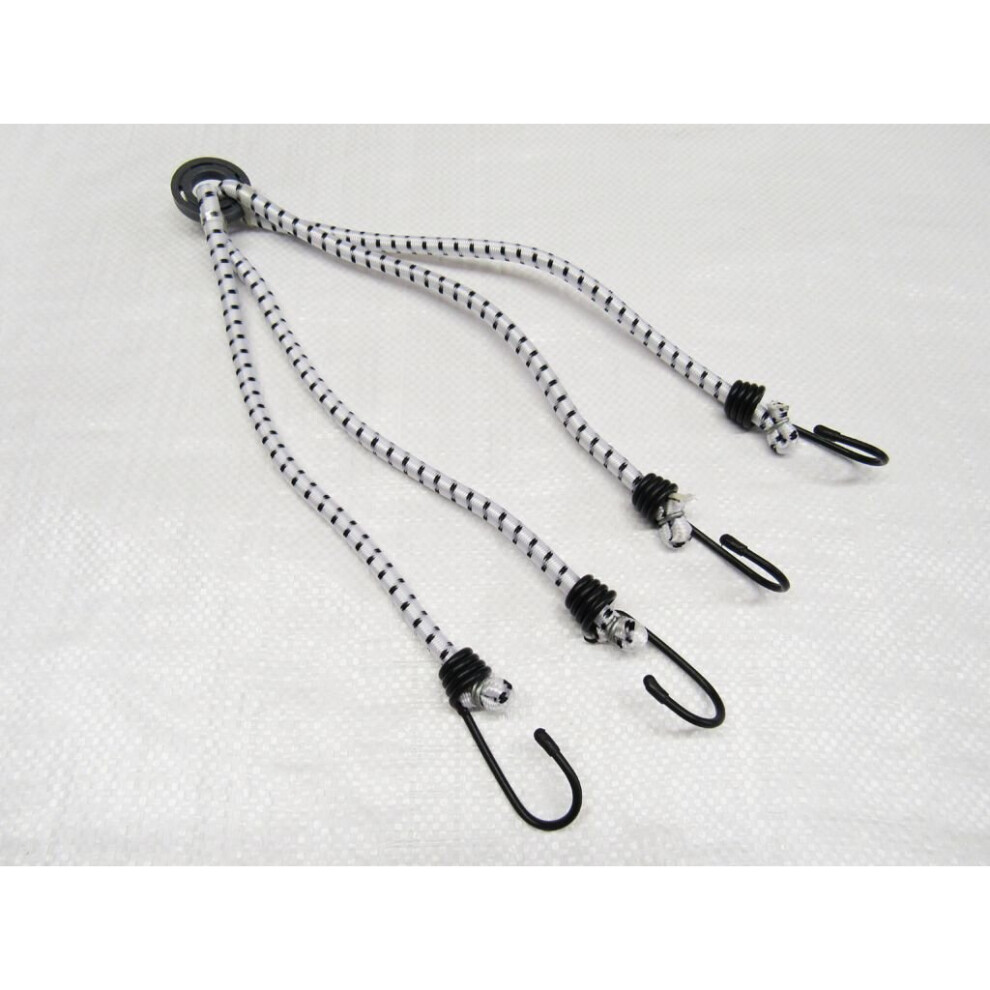 Bungee Cord 4 Leg Octopus 8Mm X 600Mm (Shock Strap Hooks Tie Down) 600988496491