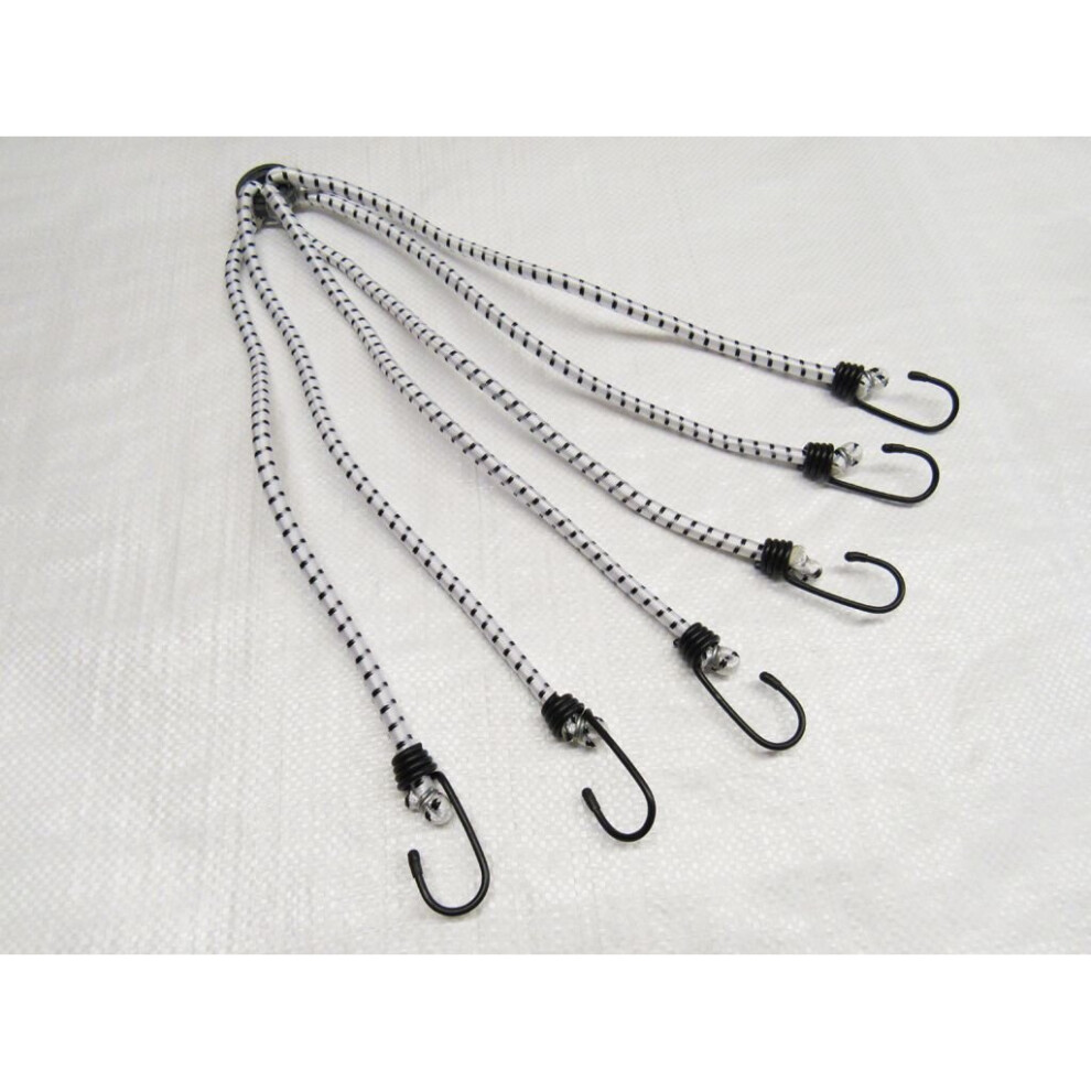 Bungee Cord 6 Leg Octopus 8Mm X 800Mm (Shock Strap Hooks Tie Down) 600988496484