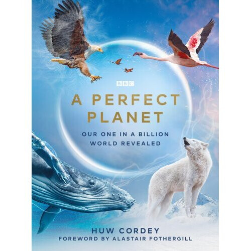 A Perfect Planet