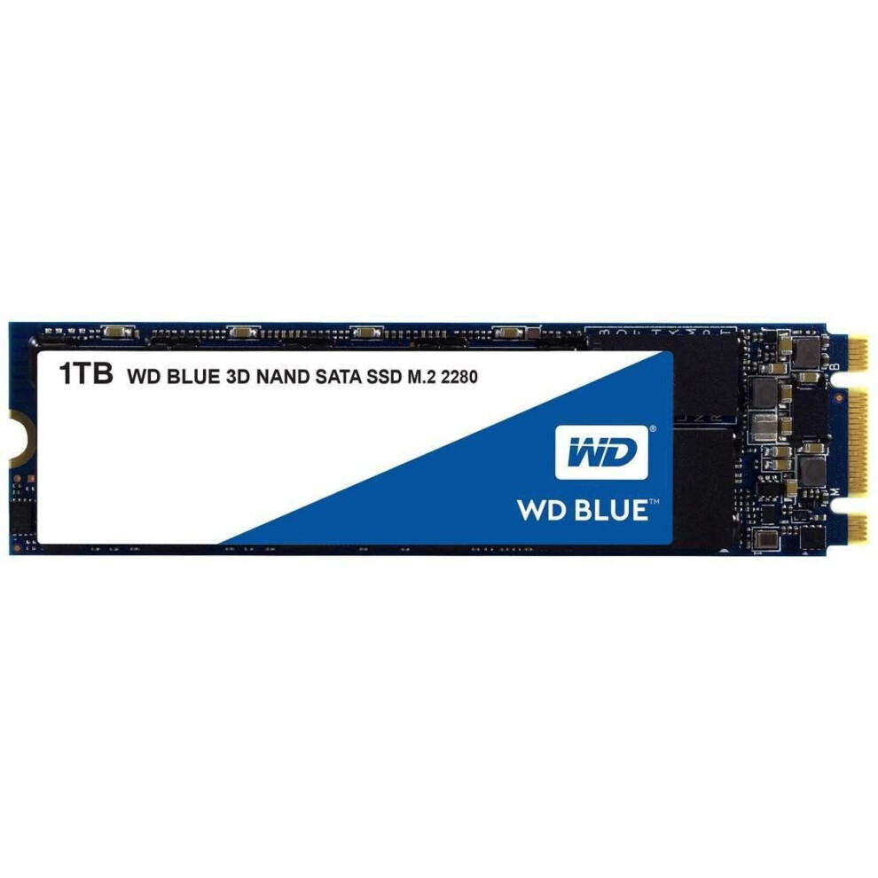 Western Digital 1TB WD Blue 3D NAND Internal PC SSD - SATA III 6 Gb/s, M.2 2280, Up to 560 MB/s - WDS100T2B0B