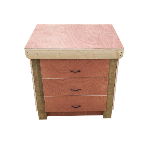 (3ft, Without Back Panel) Wooden Workbench Tool Cabinet - Eucalyptus Top Industrial Storage Work Table 2