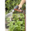 Gardena Puhdistuspistooli - GARDENA - Premium 3