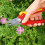 WOLF Garten Snoeischaar - WOLF - Basic Plus RR 1500 - Dubbel snijdend - Ergonomische handgreep - Antikleefbladen 2