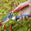 Spear & Jackson Spear & Jackson Advance Ergo Twist Secateurs, Auto-Rotating Lower Handle, Silver 5