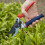 Spear & Jackson Spear & Jackson Advance Ergo Twist Secateurs, Auto-Rotating Lower Handle, Silver 4
