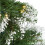 Home 6ft Pre-Lit Snow Tipped Christmas Tree 3