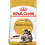 Royal Canin Royal Canin FBN Maine Coon foder 10 kg 1