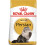 Royal Canin Royal Canin Persian Cat Food 1