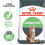 Royal Canin Royal Canin Digestive Care Cat Kibble 2
