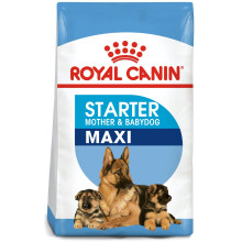 Royal Canin Maxi Starter Mother & Babydog Dry Mix 15 kg – Large Breed Pregnant & Nursing Mothers & Puppies