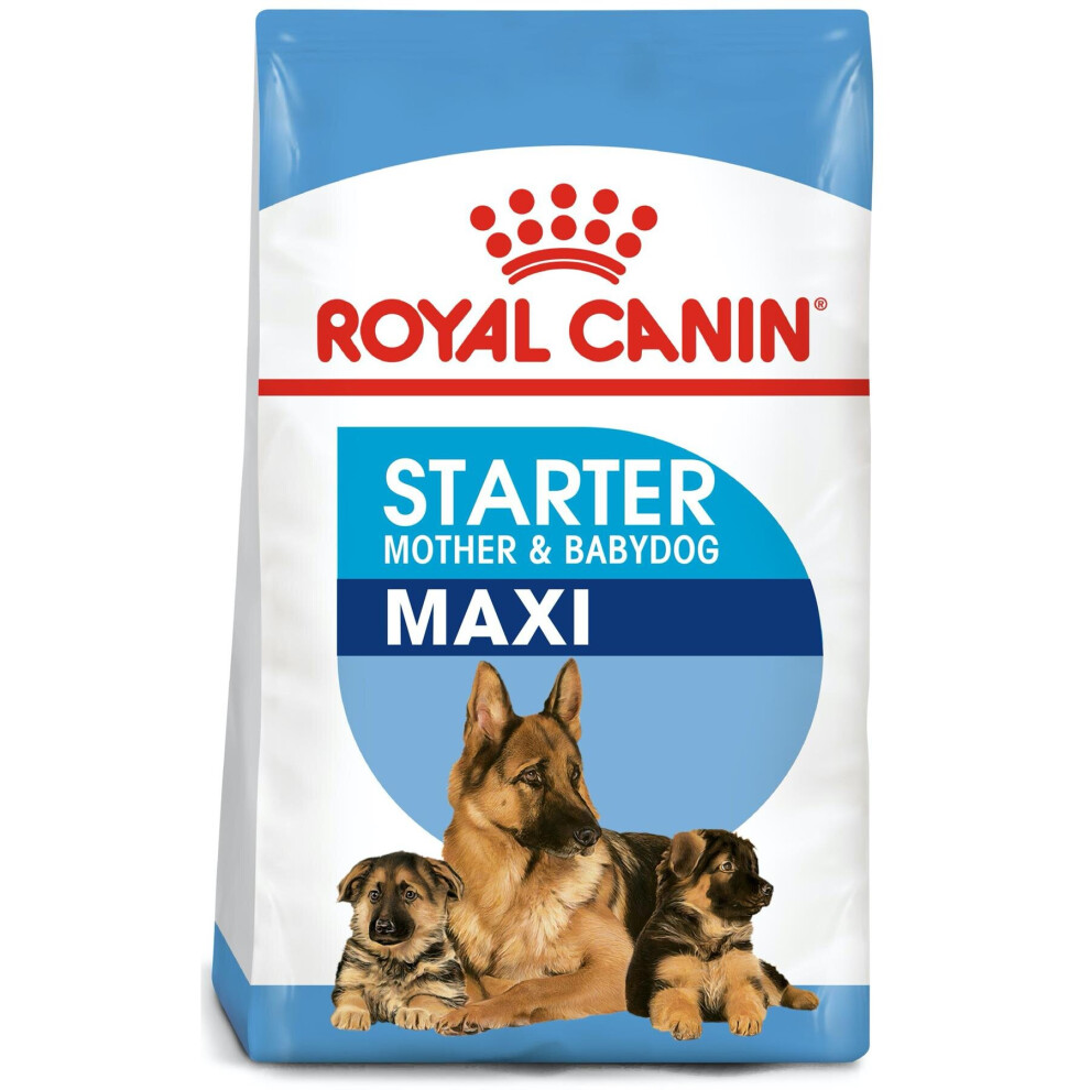 Royal Canin Maxi Starter Mother & Babydog Dry Mix 15 Kg – Large Breed Pregnant & Nursing Mothers & Puppies