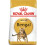 Royal Canin Royal Canin Bengal Adult 2 kg 1