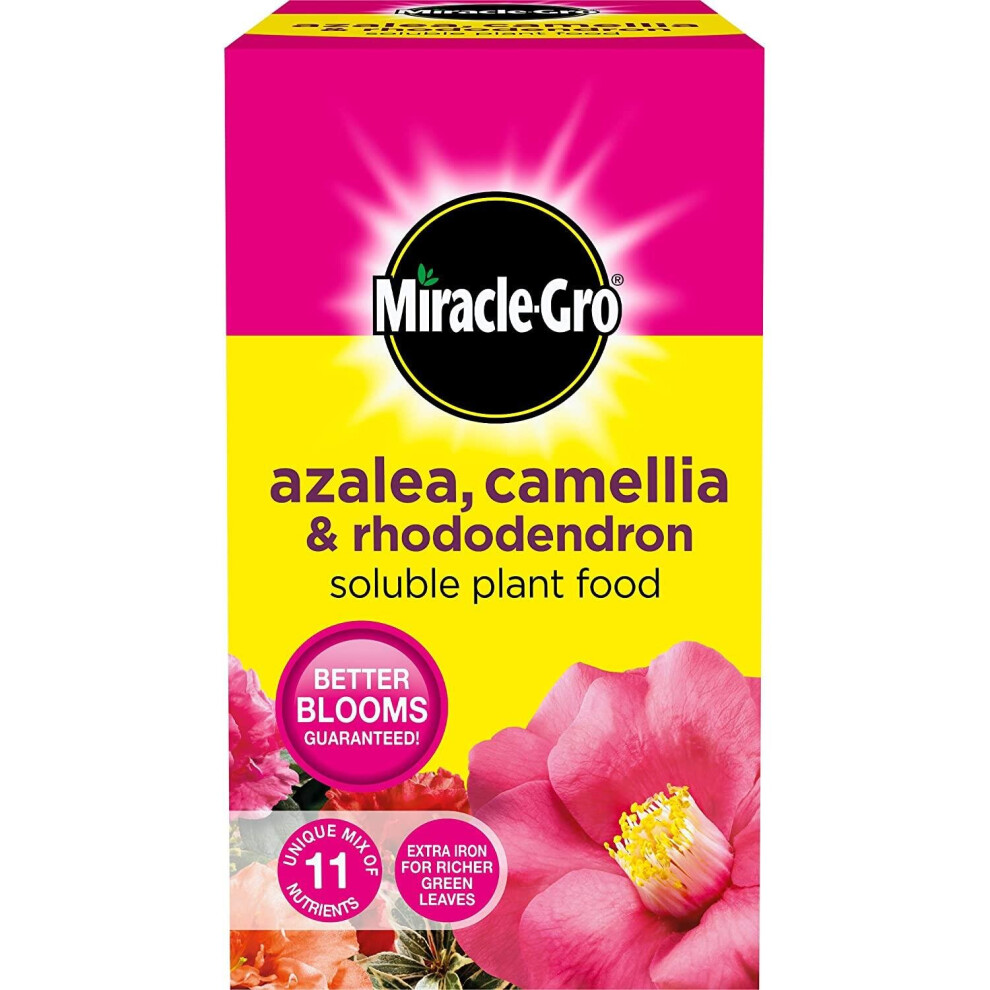 Miracle-Gro Azalea, Camellia & Rhododendron Soluble Plant Food 1kg [016803]