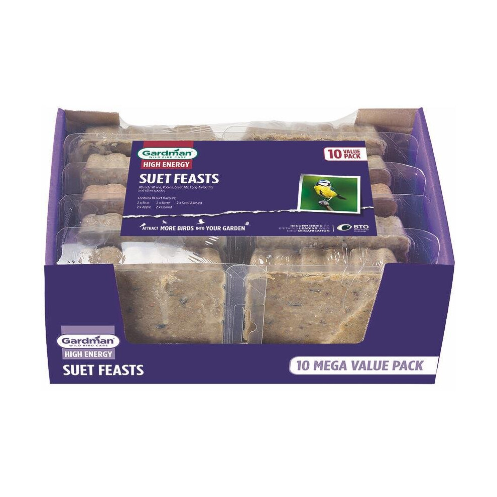 Gardman Suet Feast Wild Bird Food For All Year Round Feeding - Value Pack Of 10