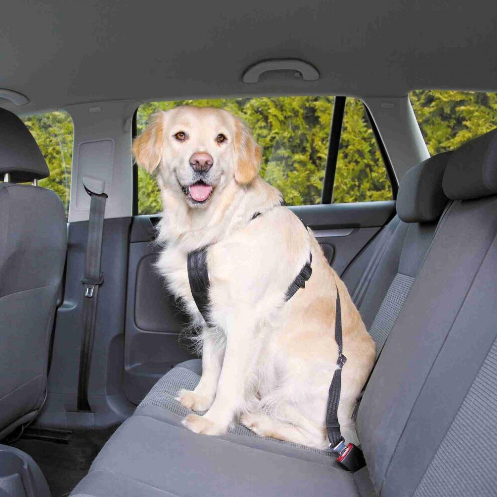 Car Harness, L: 70–90 Cm, Black - Trixie Harness Dog Sizes Safety All New -  trixie car harness dog sizes safety all new adjustable