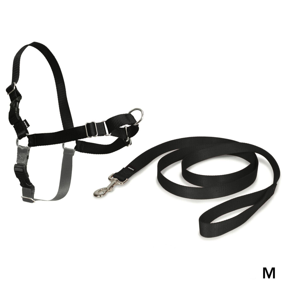 PetSafe Easy Walk Harness & 1.8m Lead for Small/Medium Dogs No Pull Collar Black