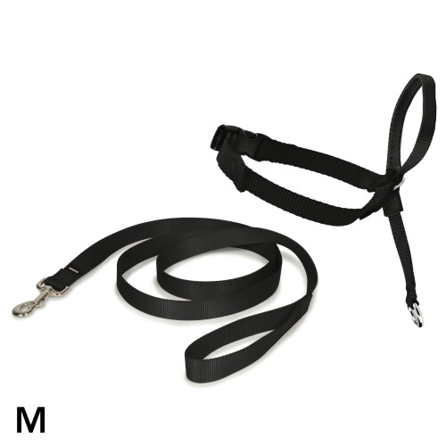PetSafe PetSafe Easy Walk Headcollar & 1.8m Lead for Medium Dogs No Pull Training, Black
