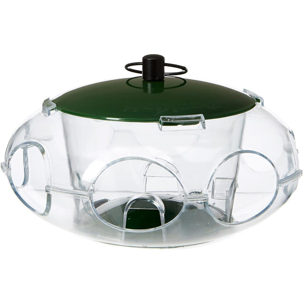 Peckish Bird  Seed Feeder for Small Birds