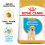 Royal Canin Royal Canin SHN Breed Labrador Junior 12 kg 1