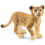 Schleich Schleich Wildlife L  wenjunges 1