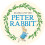 Beatrix Potter Alphabet Letter A Peter Rabbit Figurine 3