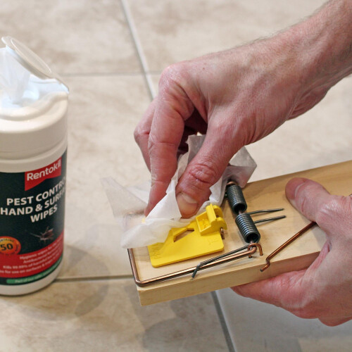 Rentokil Rentokil FPW44 Pest Control Hand & Surface Wipes 1