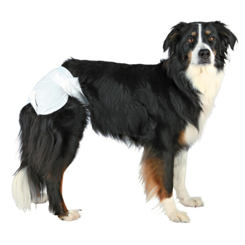 Trixie Hundehauben - TRIXIE - M/L - 12 Stück - Sehr saugfähig - Einweg 1