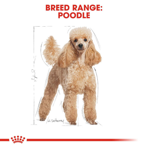 Royal Canin Royal Canin Poodle Adult 1.5 kg 1