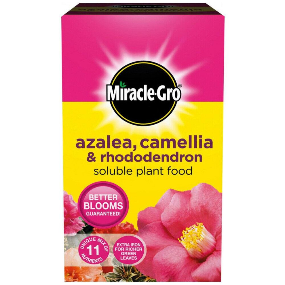 Miracle-Gro Azalea, Camellia & Rhododendron Soluble Plant Food 500g Carton [016801]