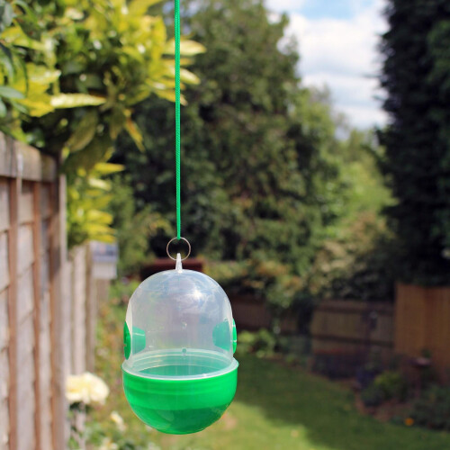 Rentokil Rentokil Wasp Trap Twin Pack FW32 1