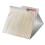 Rentokil Rentokil FS58 Spider & Crawling Insect Trap 2