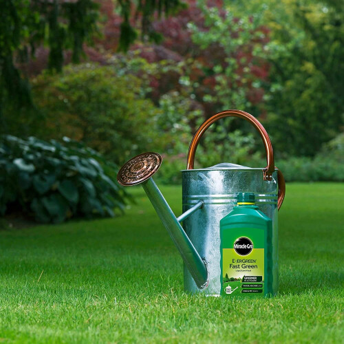 Miracle-Gro Miracle-Gro Evergreen Fast Green 1L Concentrate [119685] 2