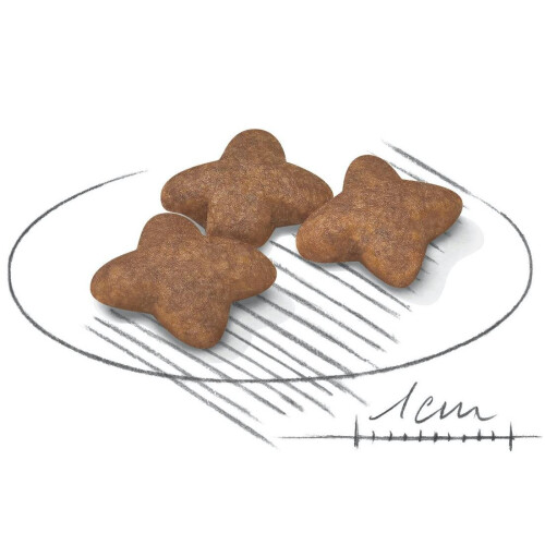 Royal Canin ROYAL CANIN Hundefoder Mini Adult 8 8 kg 2