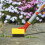 WOLF Garten Wolf-Garten Multi-Change Weeding Brush 2