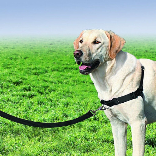 PetSafe PetSafe Easy Walk Harness & 1.8m Lead for Large Dogs - Non-Pull Collar - Black 2