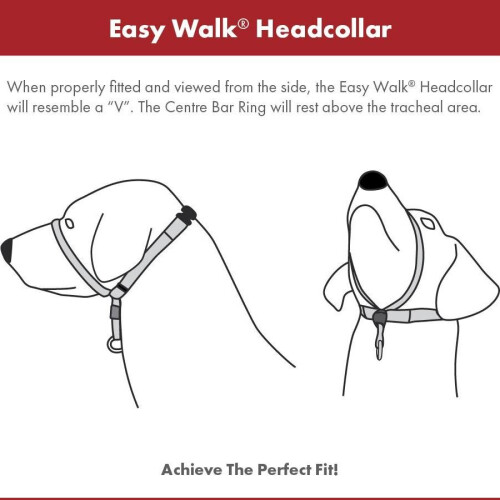 PetSafe PetSafe Easy Walk Headcollar & 1.8m Lead for Medium Dogs No Pull Training, Black 2