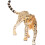 Schleich Schleich Αφρική Γυναίκα Cheetah Toy Figure 2
