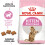 Royal Canin ROYAL CANIN Chatons Stérilisés 3,5 kg 3