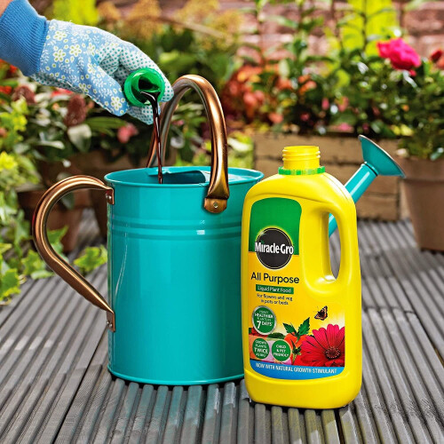 Miracle-Gro Miracle-Gro All Purpose Liquid Plant Food 1L 2