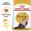 Royal Canin Royal Canin Persian Cat Food 2