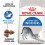 Royal Canin Royal Canin Kat voeding Indoor 27 2 kg 2