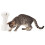 PetSafe PetSafe FroliCat, Interactive, Multi-Laser Toy, Automatic, Portable, User Friendly, Stimulating Laser Cat Toy 3